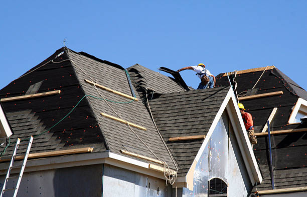 Best Storm Damage Roof Repair  in Ingram, TX